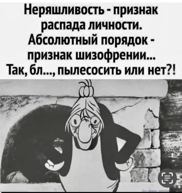 21043392.jpg