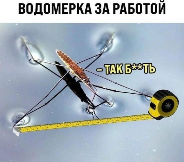 21045442.jpg