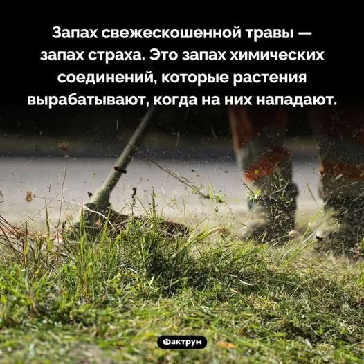 21046506.jpg