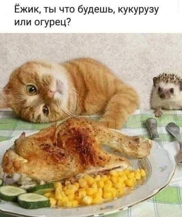 21040649.jpg