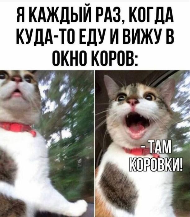 21053457.jpg