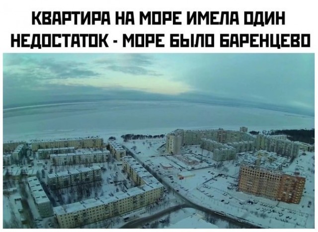 21055039.jpg
