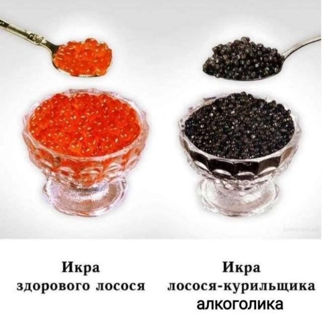 21055043.jpg