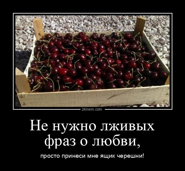 600x555_0xmAi46uFY_6654273107739103181.jpg