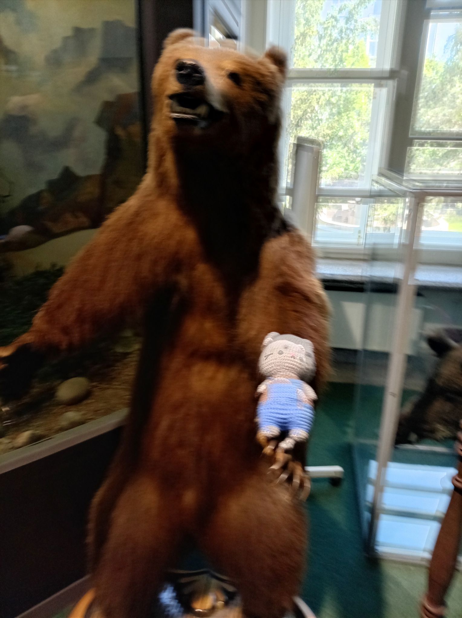 19.jpg