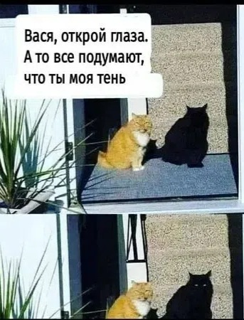 l5hoR_NVb_arFbbIW1DlQWqahn_ZQ2ArN43QysxVYBBSrafja4radj-LECXaHbNMNZ-11OTxNt-FDen0QK91zpye.jpg
