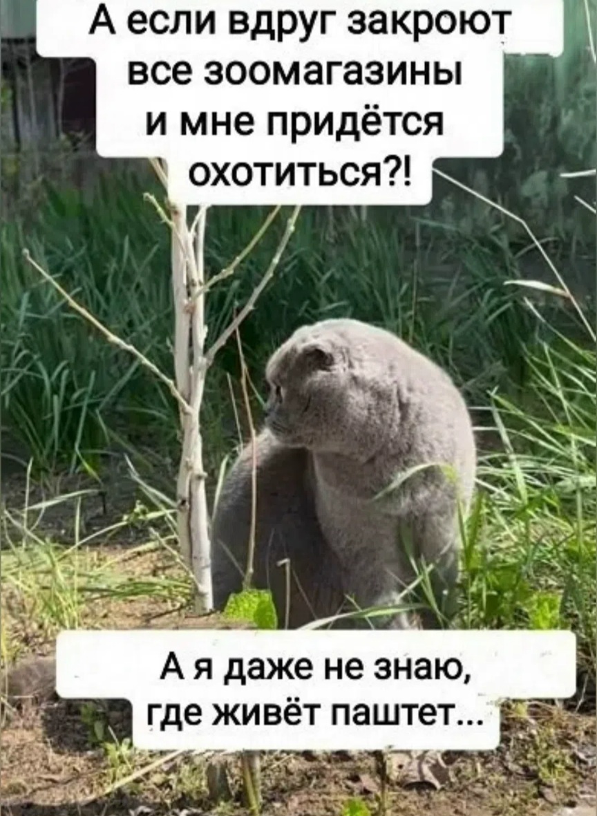 5kbgwsmfCnwy_BlHOYyIc1O0WKhvwHerxq-UcZhfv9p8GGgrZ5zdg9S5AEi3Hb08-NH1ixLi4D1S7KLtSbiC06Od.jpg