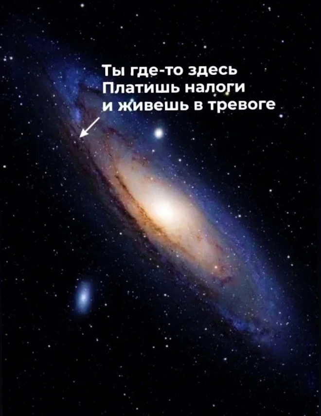 1782716311_pressa_tv_meme-04.jpg