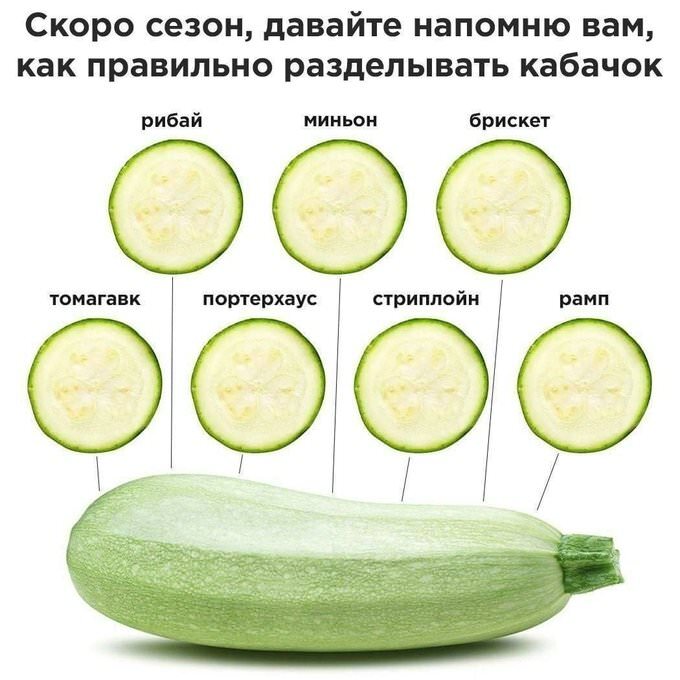 1782716244_pressa_tv_meme-20.jpg