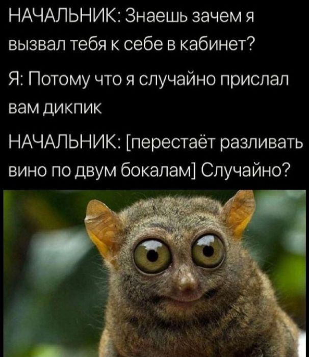 imagt03.jpg