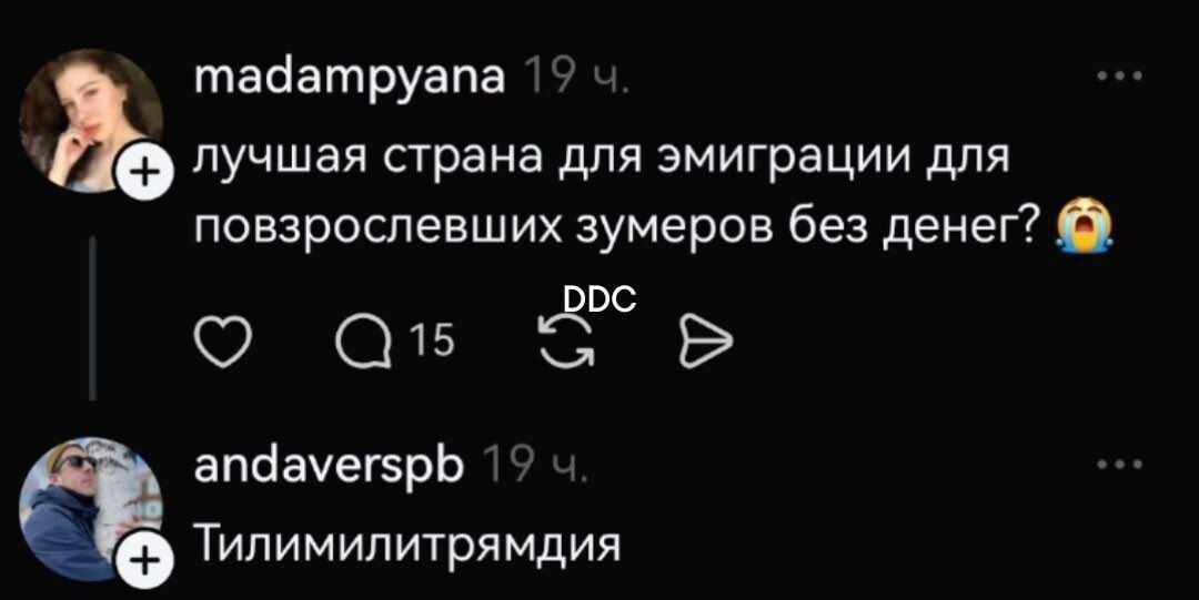 scale_1200 (25).jpg