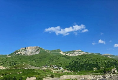 202.jpg
