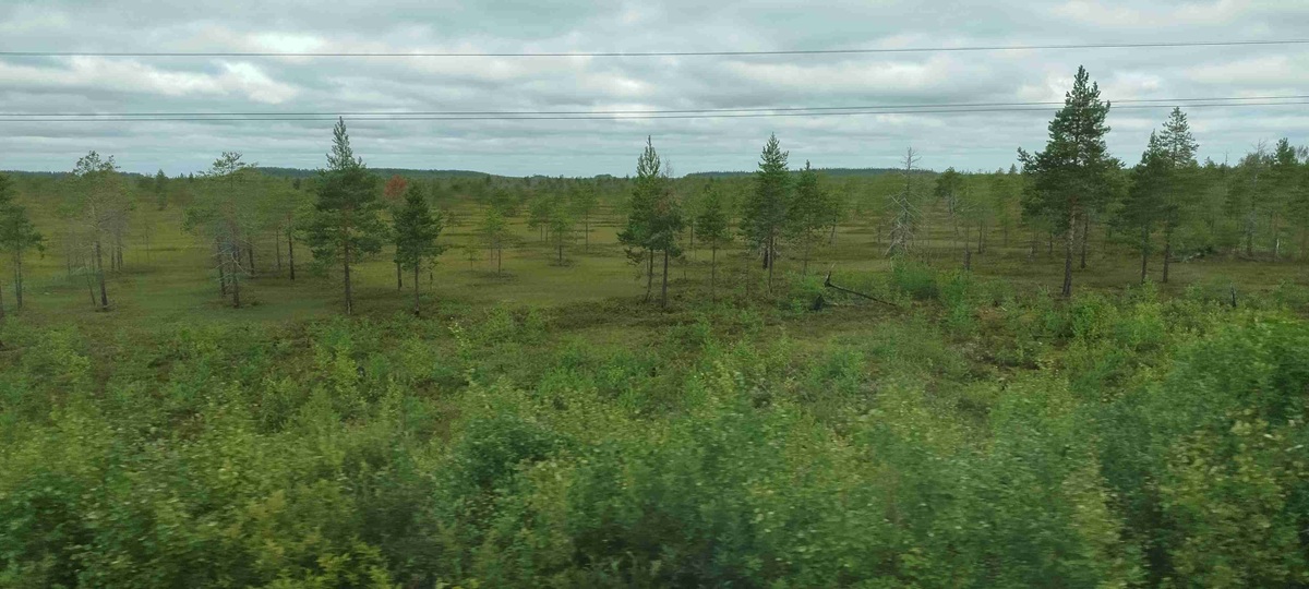 IMG_20260716_074050.jpg