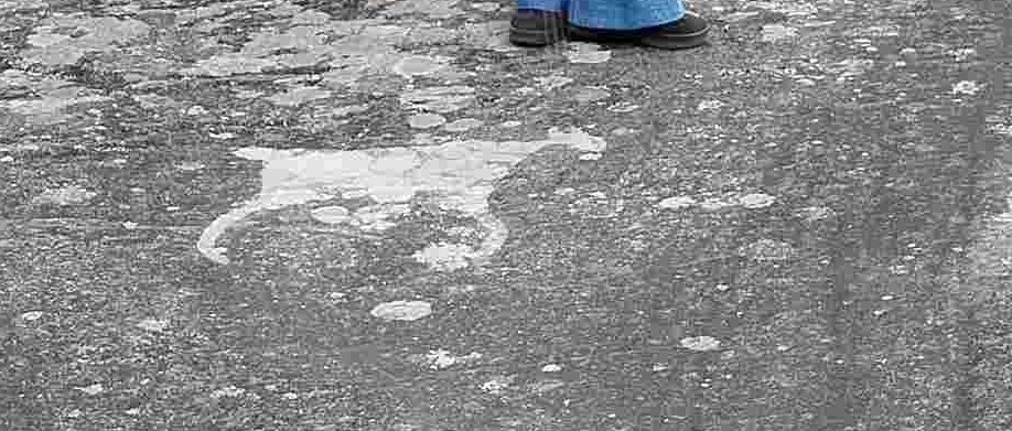 IMG_20260717_165940.jpg