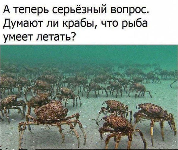 21135541.jpg