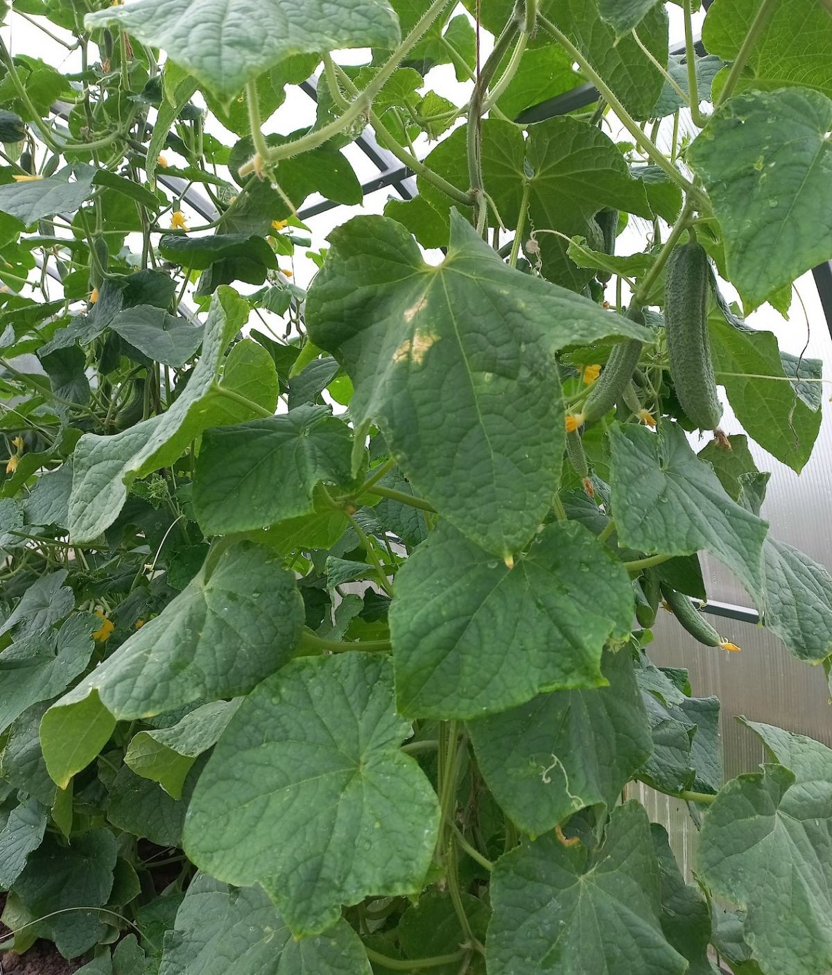 11zon_cropped (6) (1).jpeg