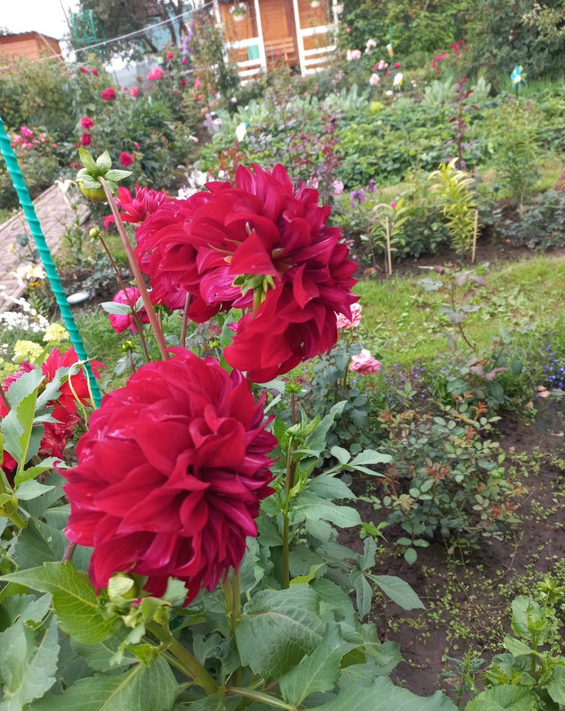 11zon_cropped (4) (1).jpeg