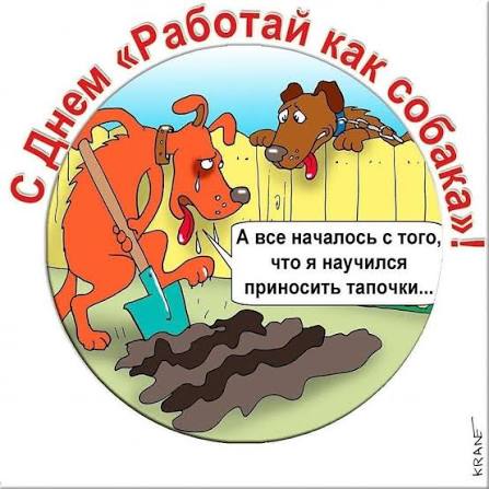 images (3).jpeg
