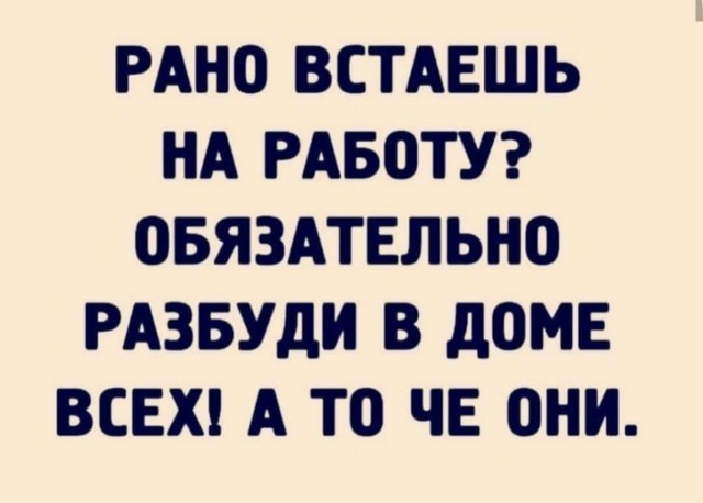 21043337.jpg