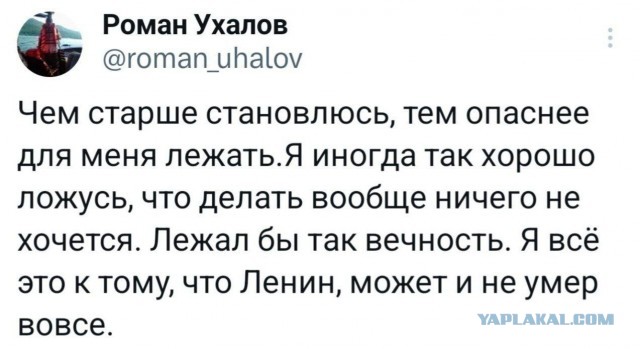 21046434.jpg
