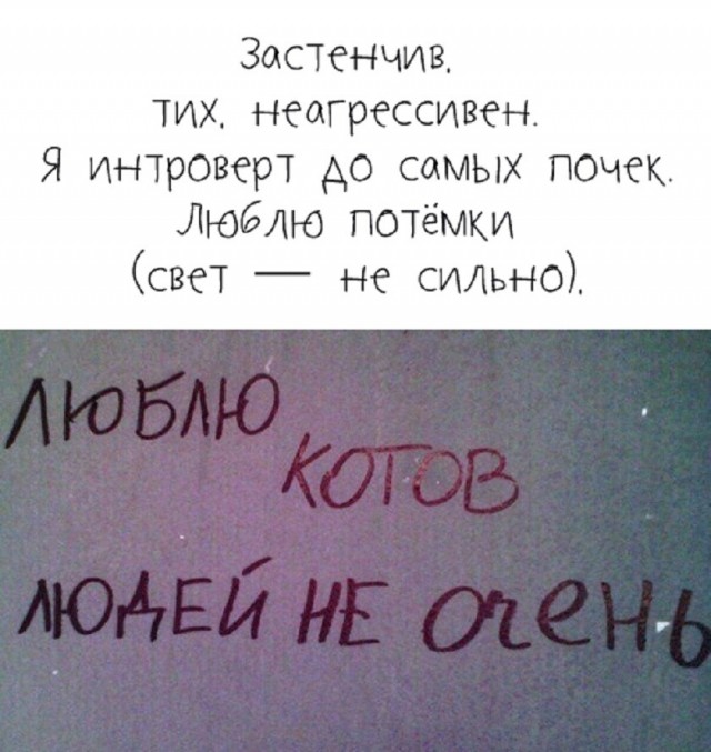 21055400.jpg