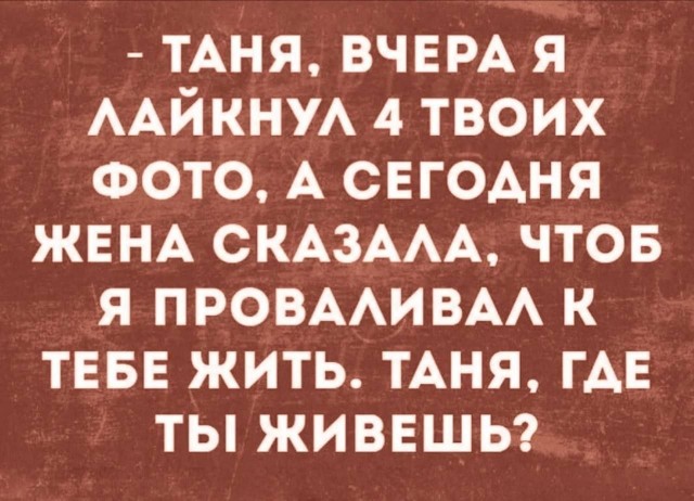 21163259.jpg