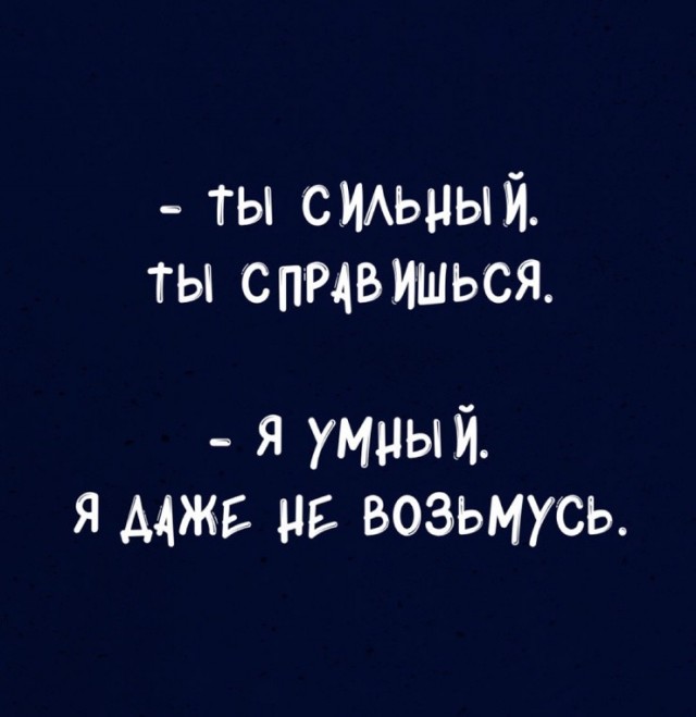 21166945.jpg