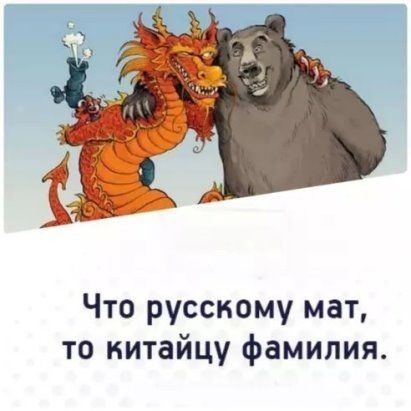 21163235.jpg