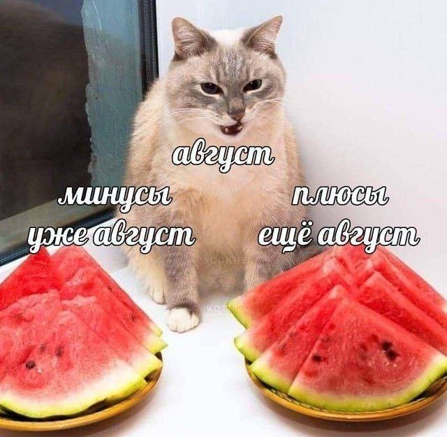 21174113.jpg
