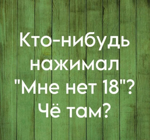 21177397.jpg