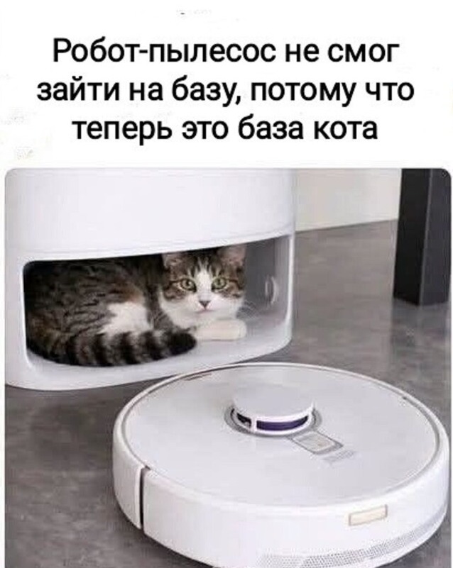 11zon_cropped.jpeg
