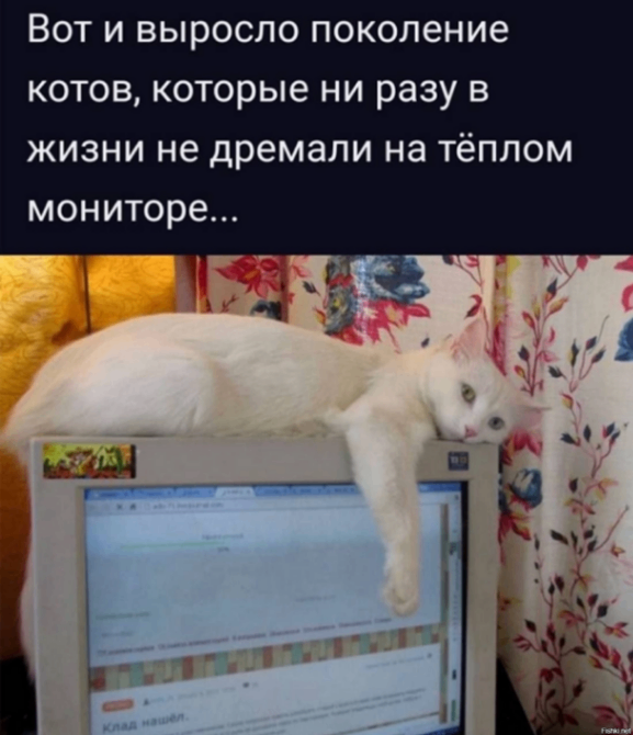 9f9d7a437334474e92ef5270b7fae0d7 (1).png