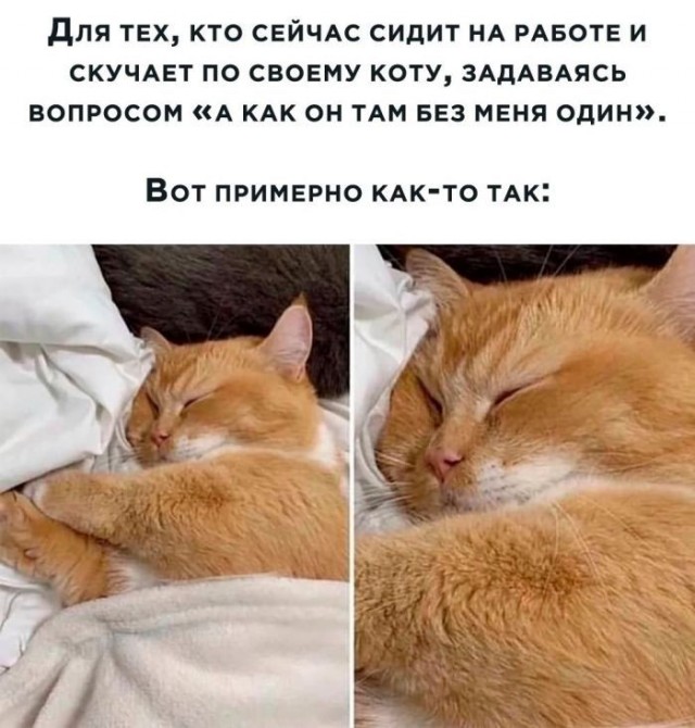 21068305.jpg