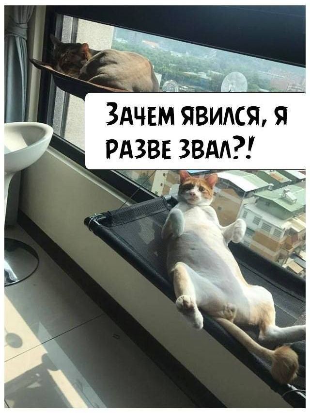 21093732.jpg