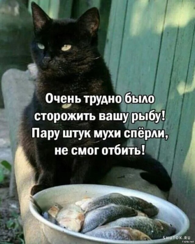 def62218cd66030066f3f7ebd448dcfa.jpg