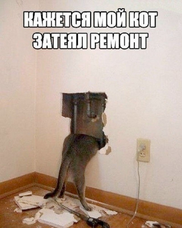 21164428.jpg