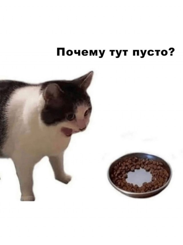 21177244.jpg