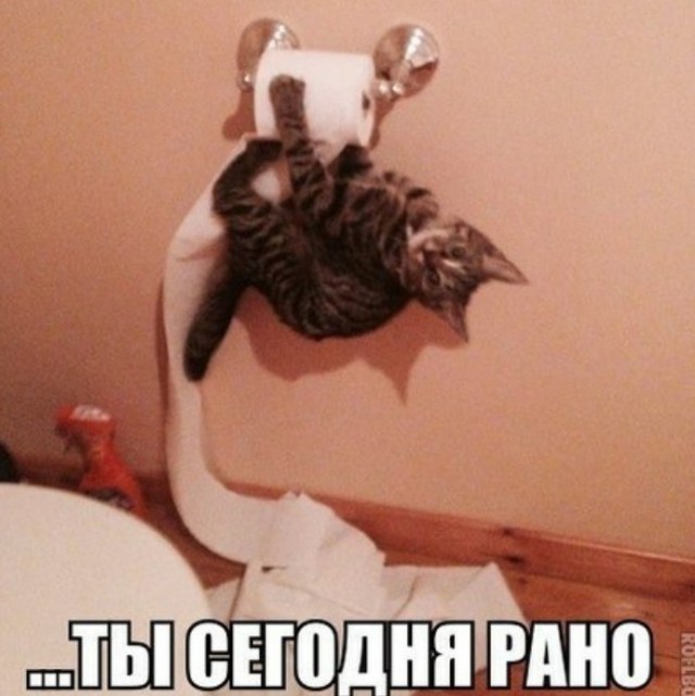 21040442.jpg