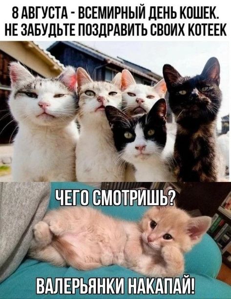 8c0f5aa9bb434670aaf373410c8816cd.jpg
