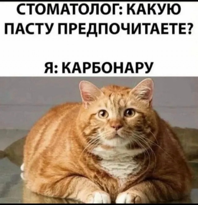21162083.jpg