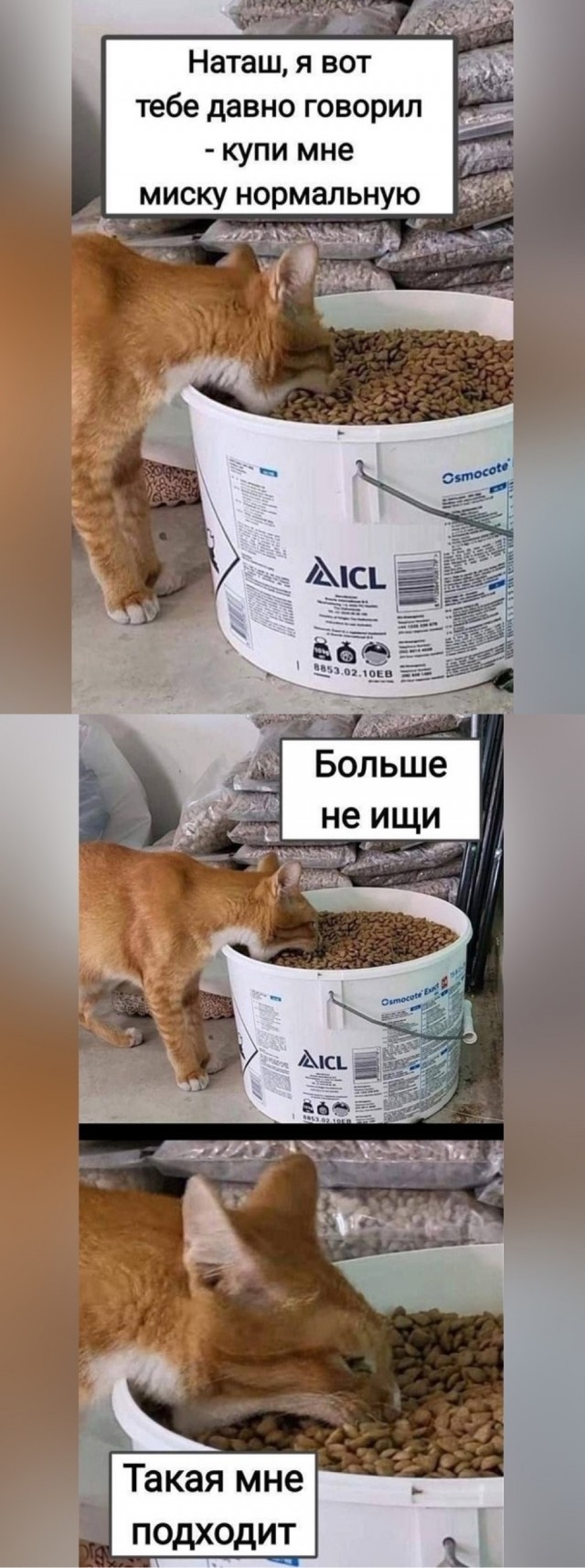 21179376.jpg