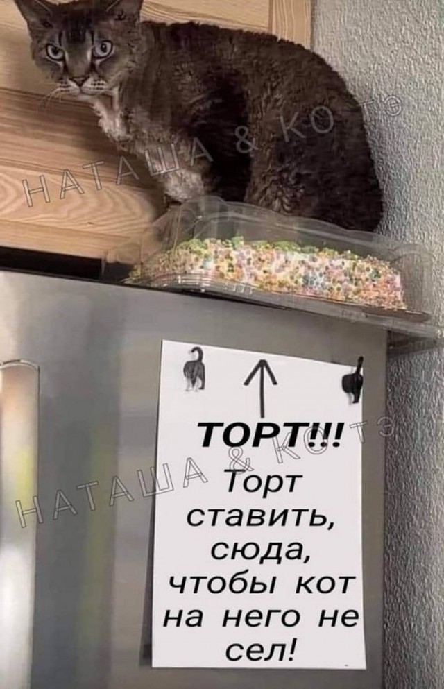 21179383.jpg