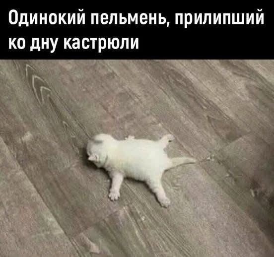 21179388.jpg
