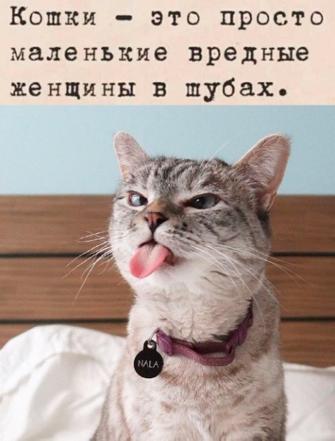 21179420.jpg