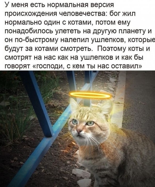 21179451.jpg
