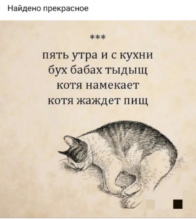 21179431.jpg