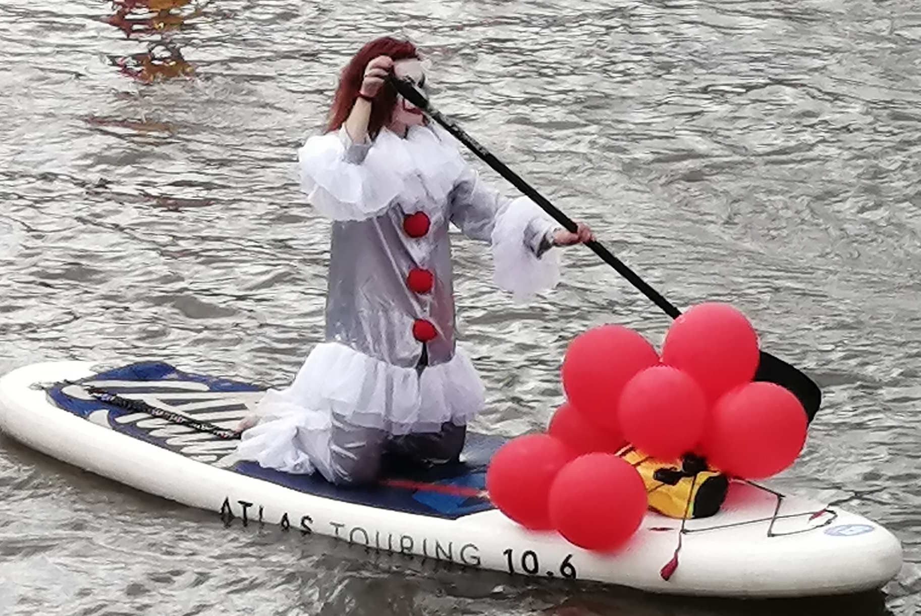 331.jpg