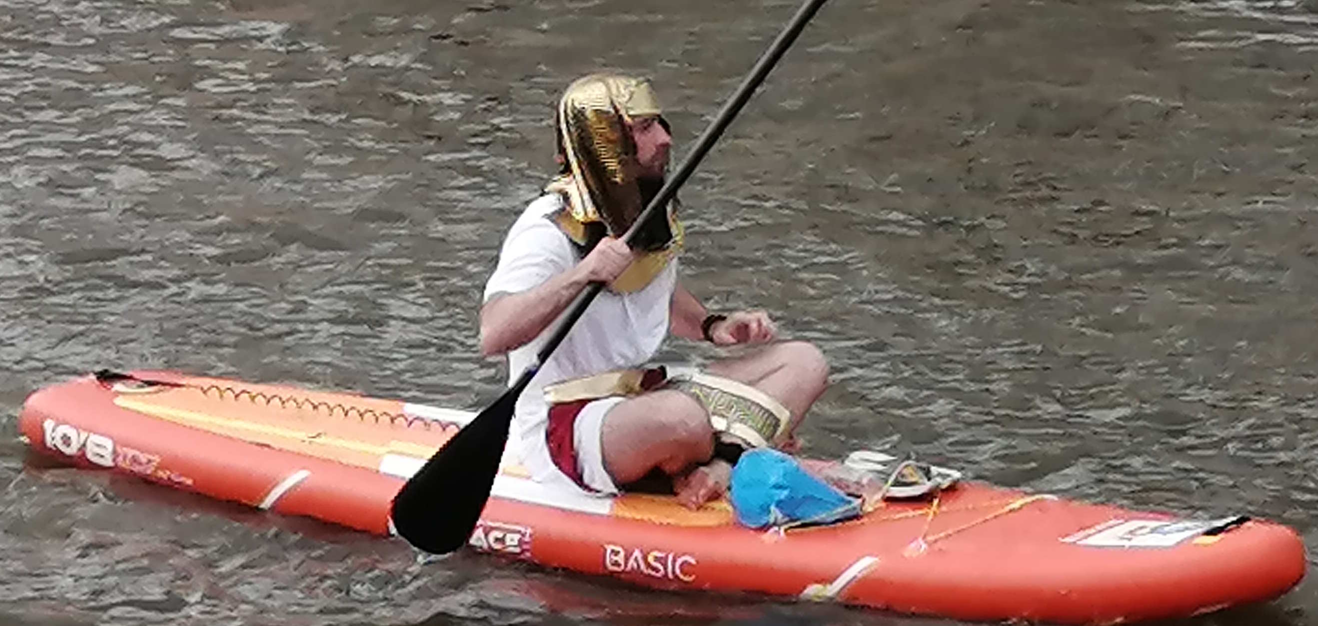 334.jpg