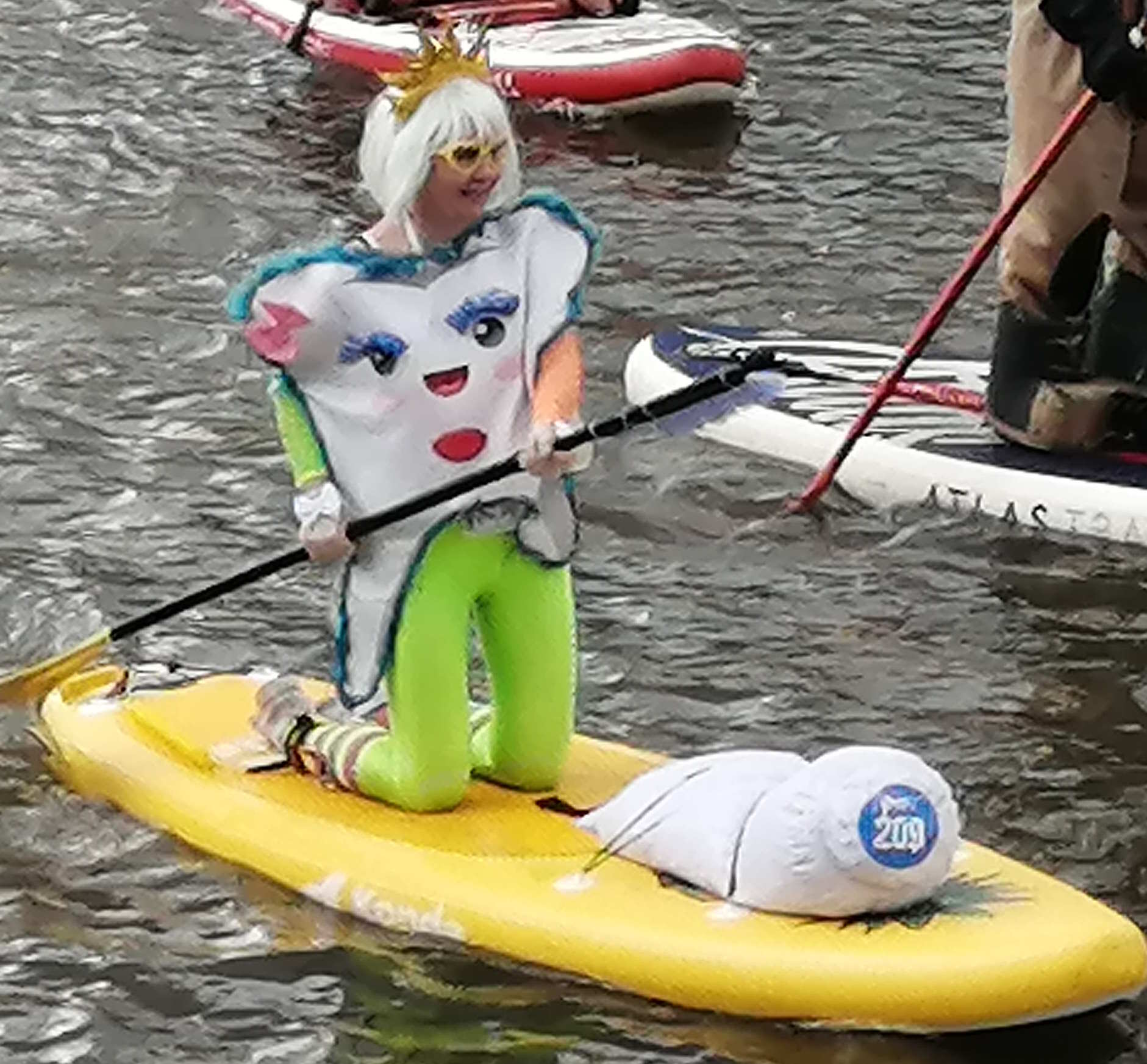 339.jpg