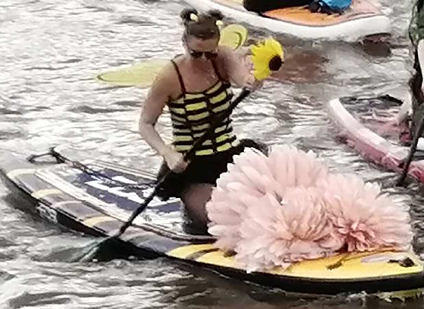 341.jpg